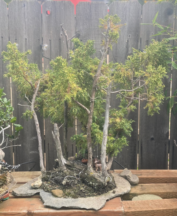 tree02